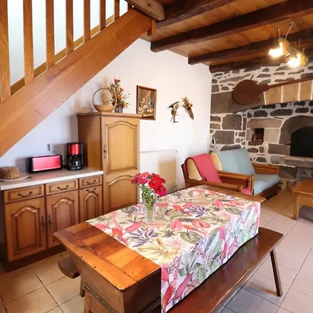 Maison De Caractere Renovee, 4 Pers, Au Coeur Du Carladez Avec Jardin Privatif Et Activites Touristiques A Proximite - Fr-1-742-225